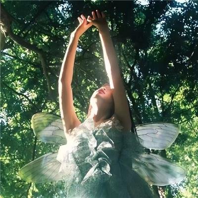 假秘书的完美契约