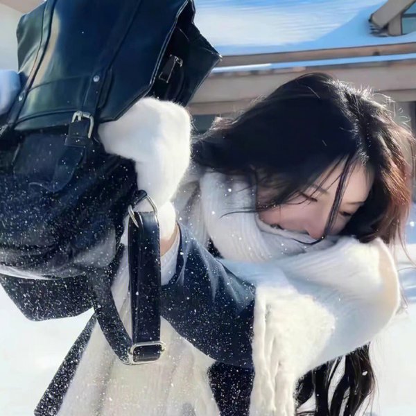 限时追捕封面